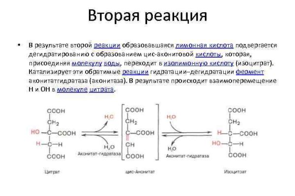 Ссылка зеркало на mega