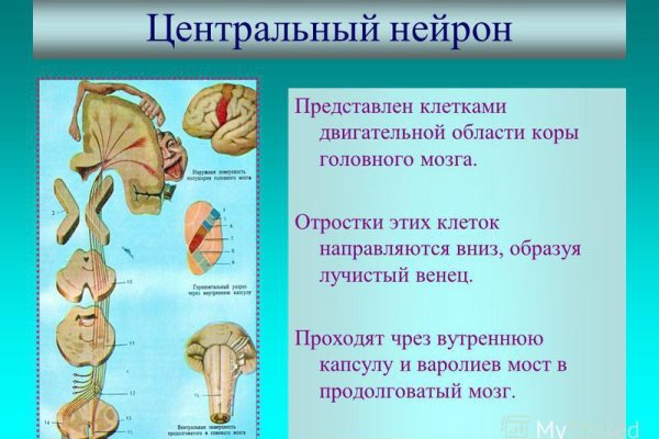 Ссылка на мега маркетплейс