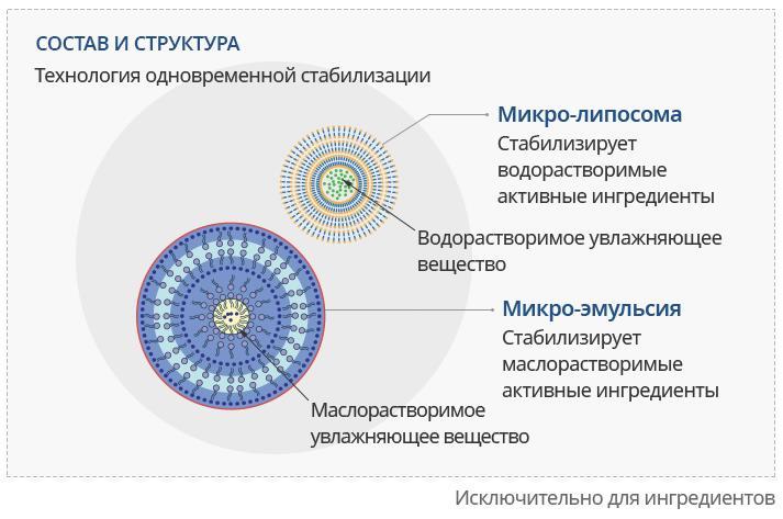 Мега дарнет onion mega sbs